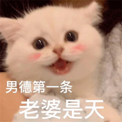 很想笑的有病表情 帮你舔走不开心