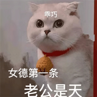 很想笑的有病表情 帮你舔走不开心