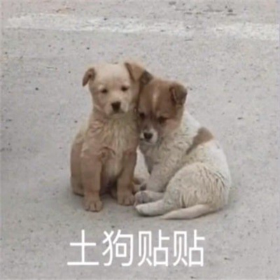 很好用的快乐表情很优秀 我的爱千变万化