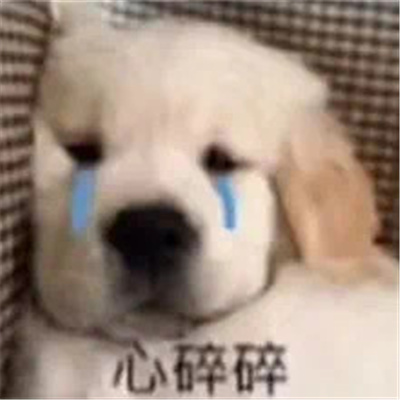 笑抽的表情充满着快乐感 充满着快乐感的表情合集