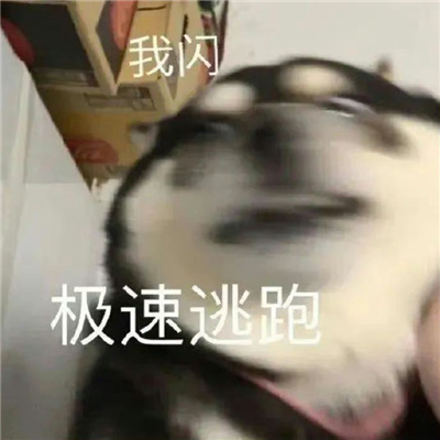 小众实用表情超级快乐聊天通用 极小众的表情祝你开心每一天