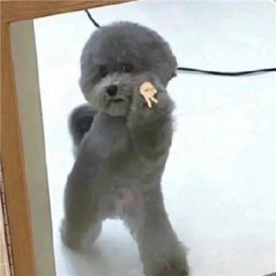 比较好玩的聊天表情 为我的鲁莽自罚一杯