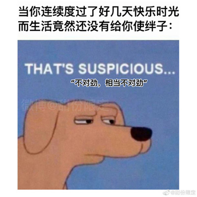 近期常用表情包好笑 为了几个臭钱人都累傻了
