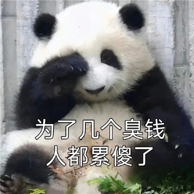 近期常用表情包好笑 为了几个臭钱人都累傻了