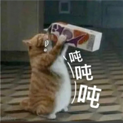 快乐实用表情包分享 睡觉可以解决一切