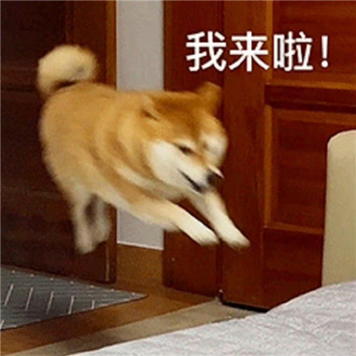 聊天必备的暴走表情合集 开叮叮车创s你