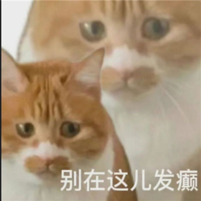 聊天必备的暴走表情合集 开叮叮车创s你