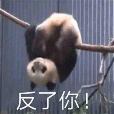 聊天必备的暴走表情合集 开叮叮车创s你