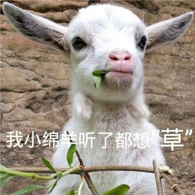 每款都很好笑的表情最新 屎到临头还搅便