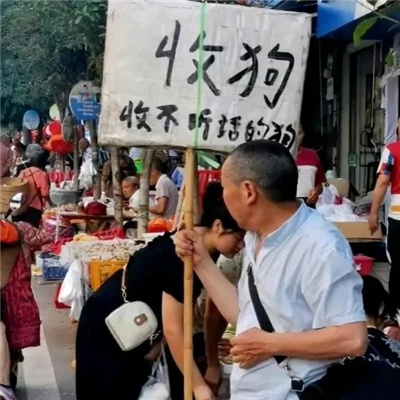 常用的表情会让自己快乐十足 收到我这就去办