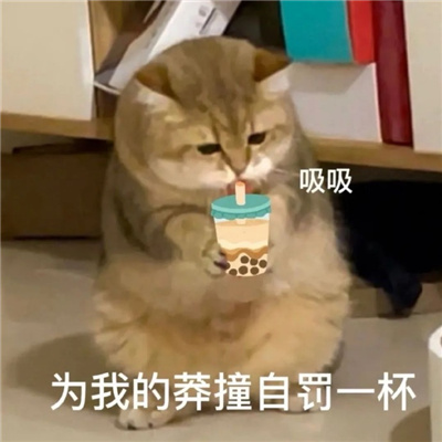 常用的表情会让自己快乐十足 收到我这就去办