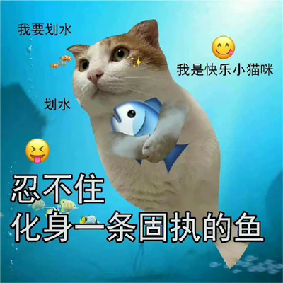 快乐而又充实的一天表情 取悦姐的手段罢了