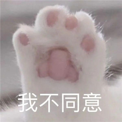 很开心很赞的表情最热门 爆开心到起飞的表情