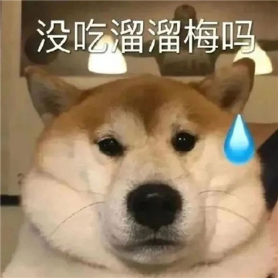 很开心很赞的表情最热门 爆开心到起飞的表情