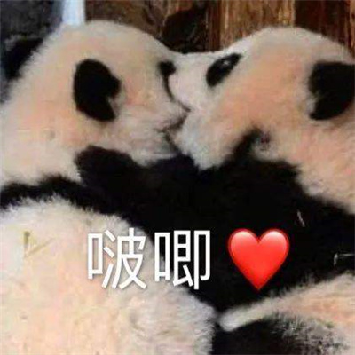 很开心很赞的表情最热门 爆开心到起飞的表情