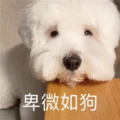 很开心很赞的表情最热门 爆开心到起飞的表情