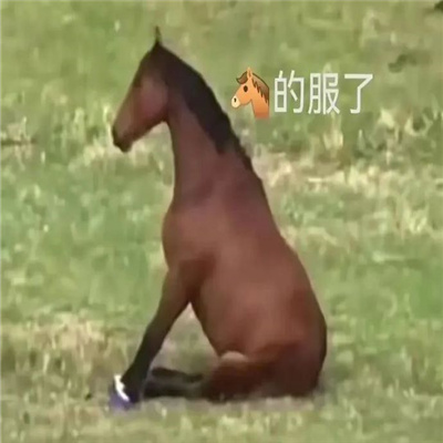 很新版很快乐的表情合集 我看你需要修理一下脑子