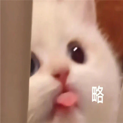 很新版很快乐的表情合集 我看你需要修理一下脑子