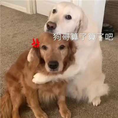 聊天必备可爱感表情合集 重拳出击捶你