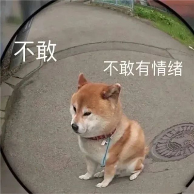 会让人觉得有病的表情 很有用的快乐感的表情