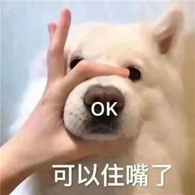 收集的聊天表情最热合集 网络上很好用的火热表情