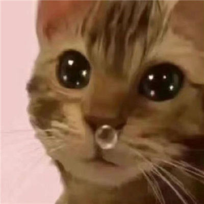 巨巨巨实用的表情包 戒色了滚