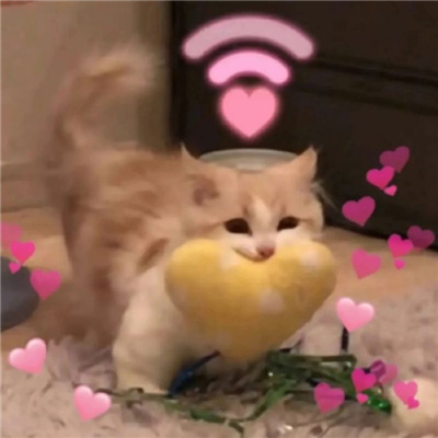 巨巨巨实用的表情包 戒色了滚