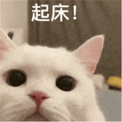 巨巨巨实用的表情包 戒色了滚