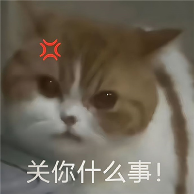 实用表情2023经典好用 你怎么回事小老弟