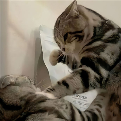 实用表情2023经典好用 你怎么回事小老弟