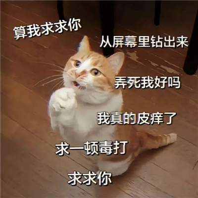 实用表情2023经典好用 你怎么回事小老弟