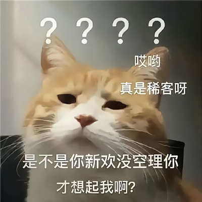 实用表情2023经典好用 你怎么回事小老弟