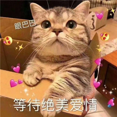 2023七夕的搞笑且欢乐的趣味表情 让我看看是谁还单身哦我自己