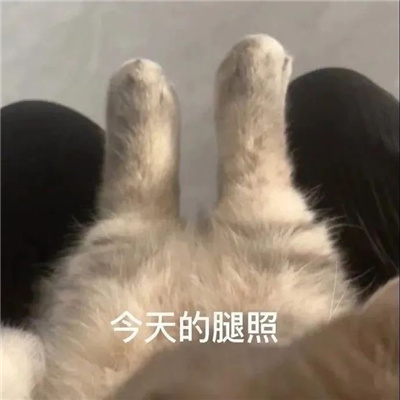 逐渐上头的表情很好用合集 超级好用的很耐用的表情