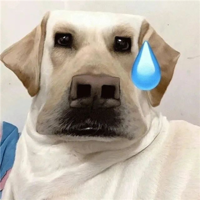 逐渐上头的表情很好用合集 超级好用的很耐用的表情