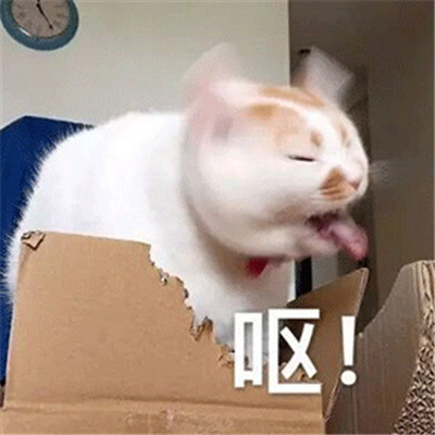 逐渐上头的表情很好用合集 超级好用的很耐用的表情