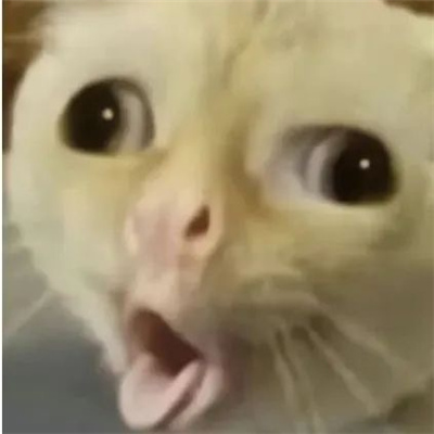 逐渐上头的表情很好用合集 超级好用的很耐用的表情