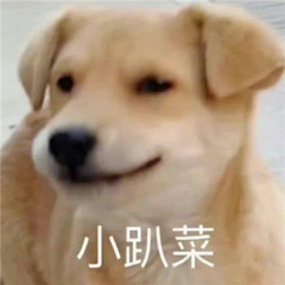 享受快乐聊天的好用表情最新 谢谢领导给我苦吃