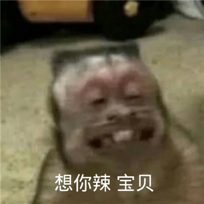 享受快乐聊天的好用表情最新 谢谢领导给我苦吃