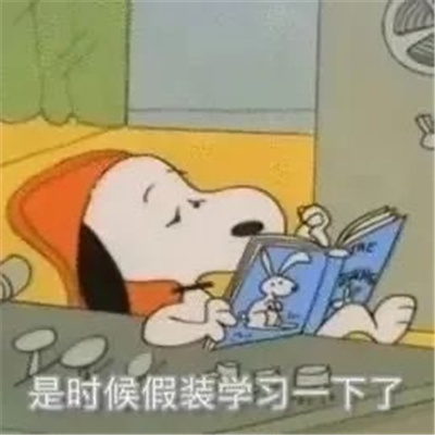 每一张都会存图的好用表情 多好的人啊就是丑了点