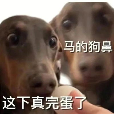 充满着快乐感的好用表情2023 每张都是超逗比的表情合集