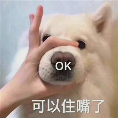 会笑很久的表情快乐十足 你要跟我作对