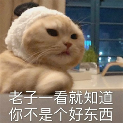 会笑很久的表情快乐十足 你要跟我作对