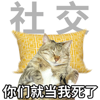 年轻人十大美好品德表情 超级有趣味的表情优质