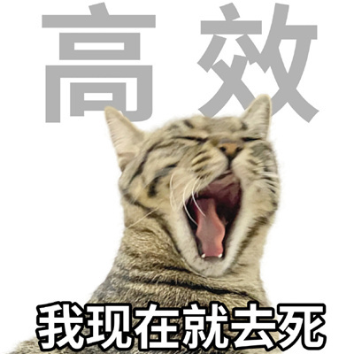 年轻人十大美好品德表情 超级有趣味的表情优质