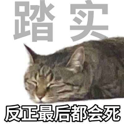 年轻人十大美好品德表情 超级有趣味的表情优质