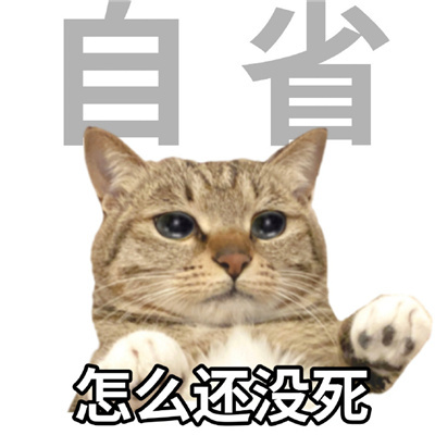 年轻人十大美好品德表情 超级有趣味的表情优质