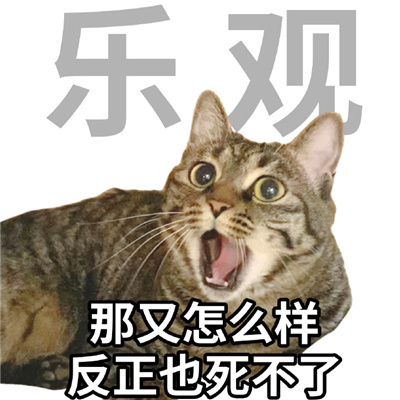 年轻人十大美好品德表情 超级有趣味的表情优质