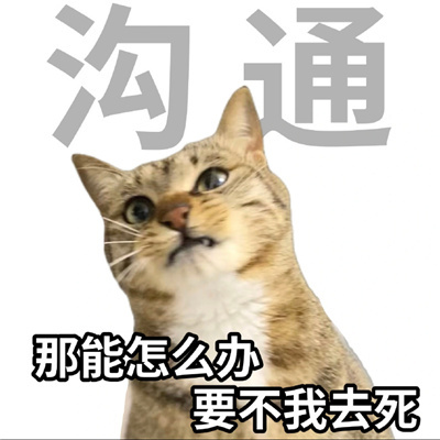 年轻人十大美好品德表情 超级有趣味的表情优质