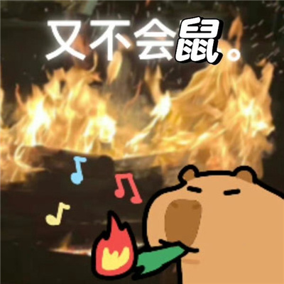 小水豚表情令人爆笑 天气好极了钱几乎没有